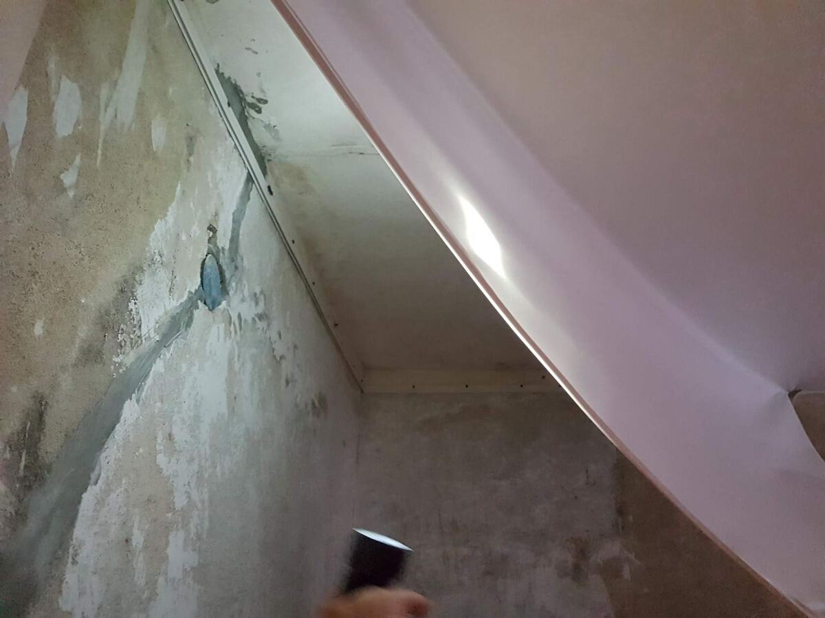 Как избавиться от плесени за натяжным потолком: пошаговое руководство