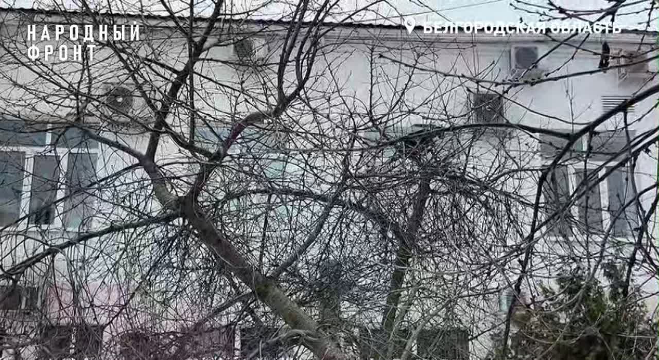 Срочная помощь: 10 обогревателей в Борисовский МО