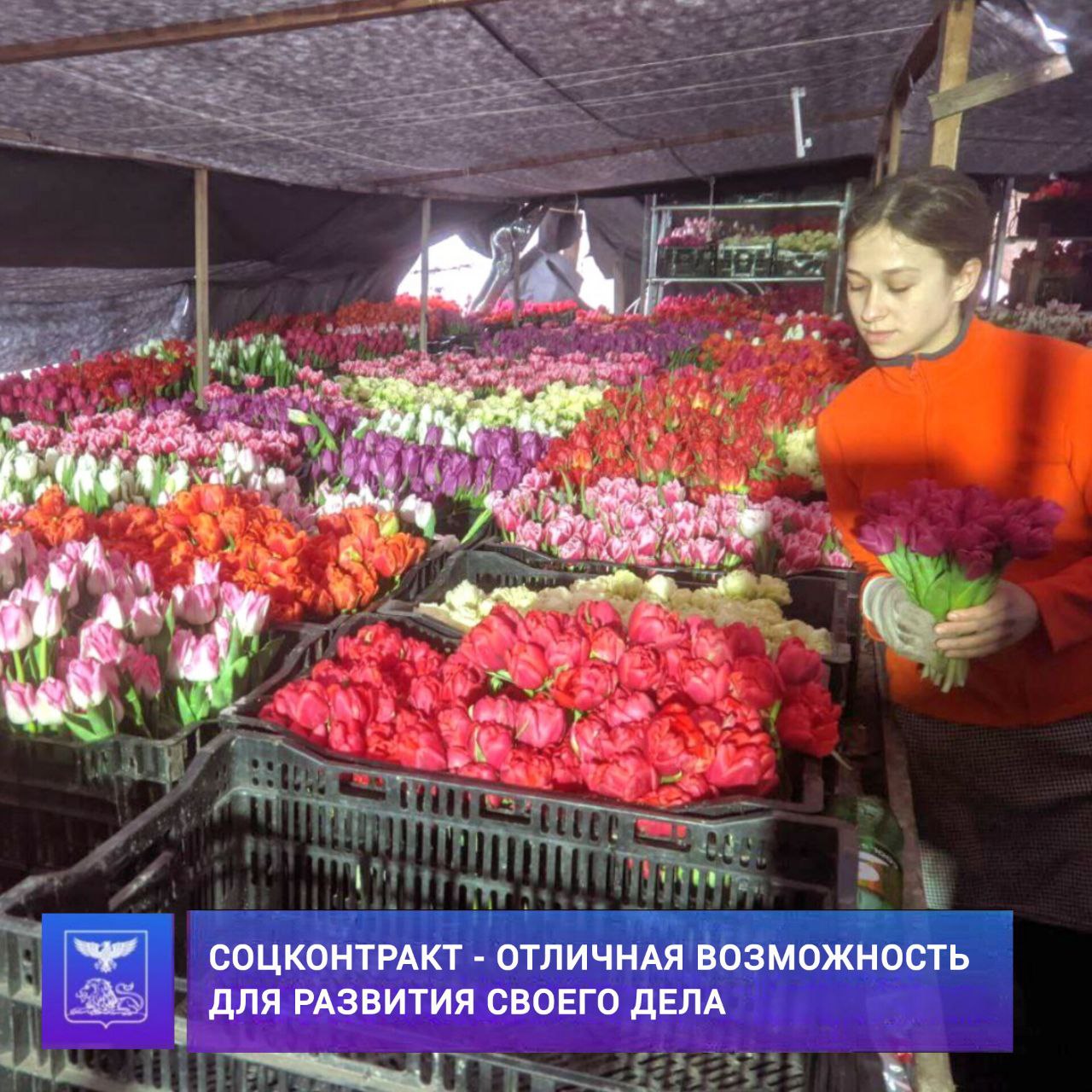 Андрей Миськов: Продолжаю делиться нашими успешными примерами реализации губернаторской программы «Содействие» на основании социального контракта