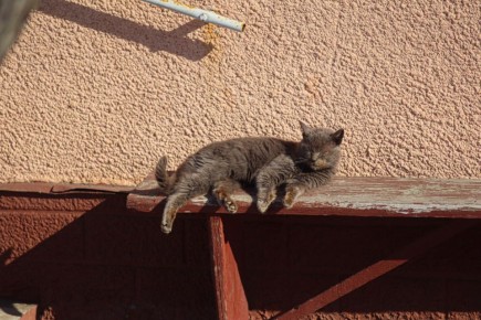Погода 27 февраля. Сегодня синоптики обещают ясную погоду