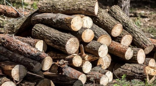 ���������� ��������� ����������� ������ ������� ������ ����������