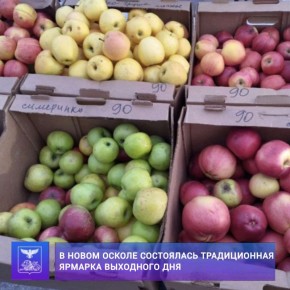 ������ �������: ���������� ��������� ������� ��������� ���