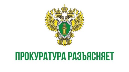 Документы для проверки возраста при продаже энергетиков: перечень действует с 1 марта 2025 года