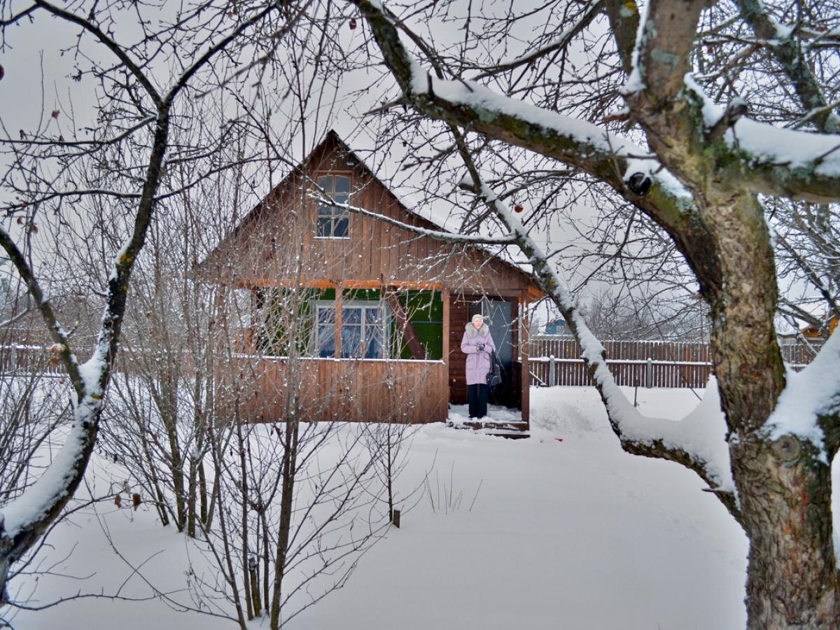 Зимние грядки: как приподнятые конструкции помогают растить овощи даже в холод