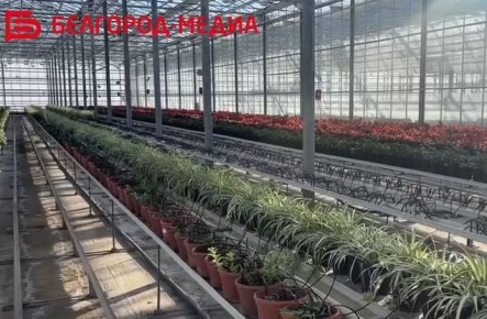 ������������� ������������ ������ �. ��������� �������� ��������� ���