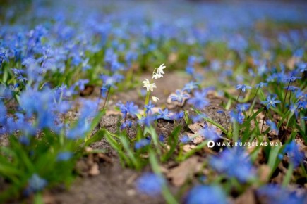 ������ ����, ��������!. ������� 1 ����� � ������ ���� �����