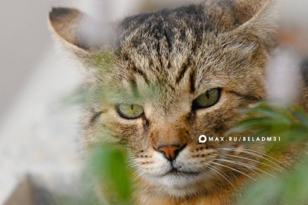 Весна приходит не только с календарем, но и с первыми теплыми лучами солнца