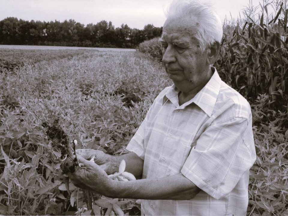 ���� ��������: �������� ��������� ������������ �������, �������� �������������������� ����, ����������� ������� �����, �������� �������� ������������� ���������������� ��������� ������������ ����� �. �. ������ � �������...