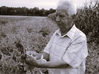 ���� ��������: �������� ��������� ������������ �������, �������� �������������������� ����, ����������� ������� �����, �������� �������� ������������� ���������������� ��������� ������������ ����� �. �. ������ � �������...