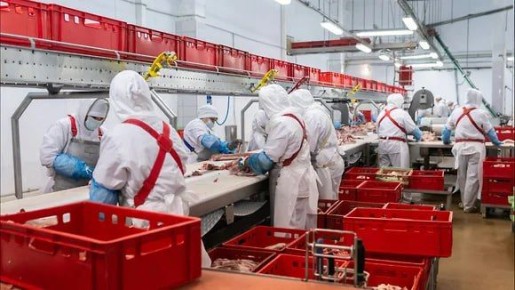 Гладков: на Филиппины начались поставки белгородской свинины из Корочанского округа