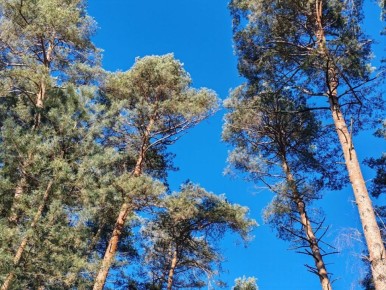 �������, 2 �����, ����� ������� � ������������