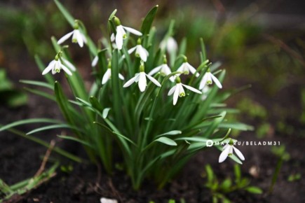 ������ ����, ��������!. ������� �� ����� ������, �����������