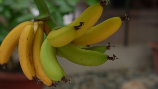 � ������� ���� �������� ��������� ������� ������� ���� ������