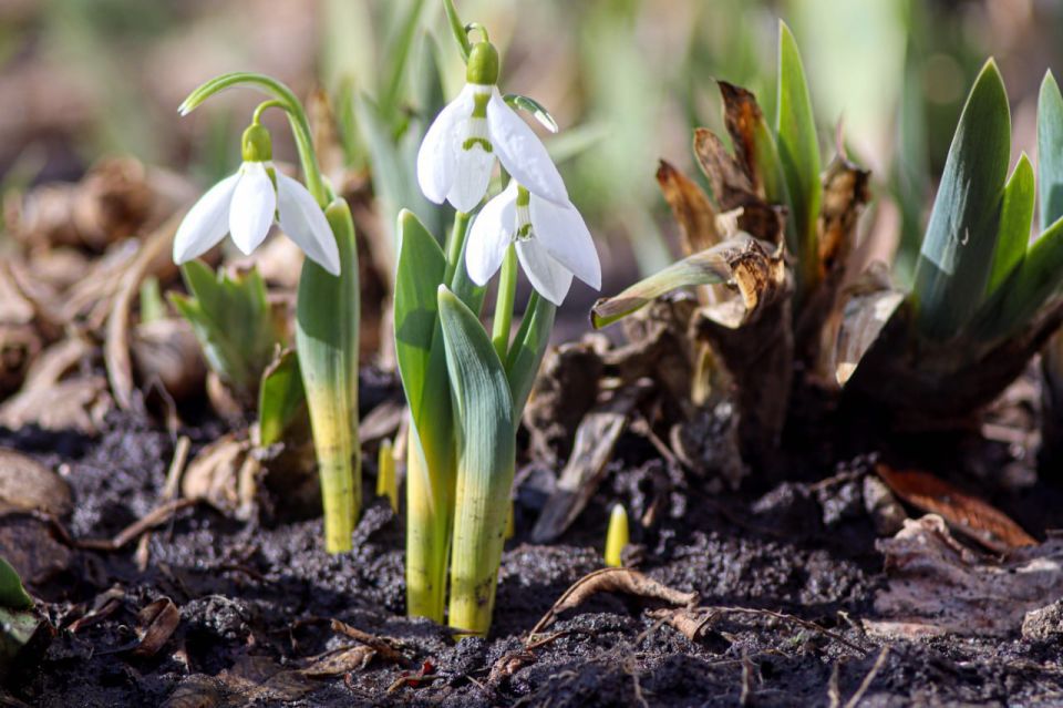 ������ 2 �����. ������� ��������� ������� �������� ������