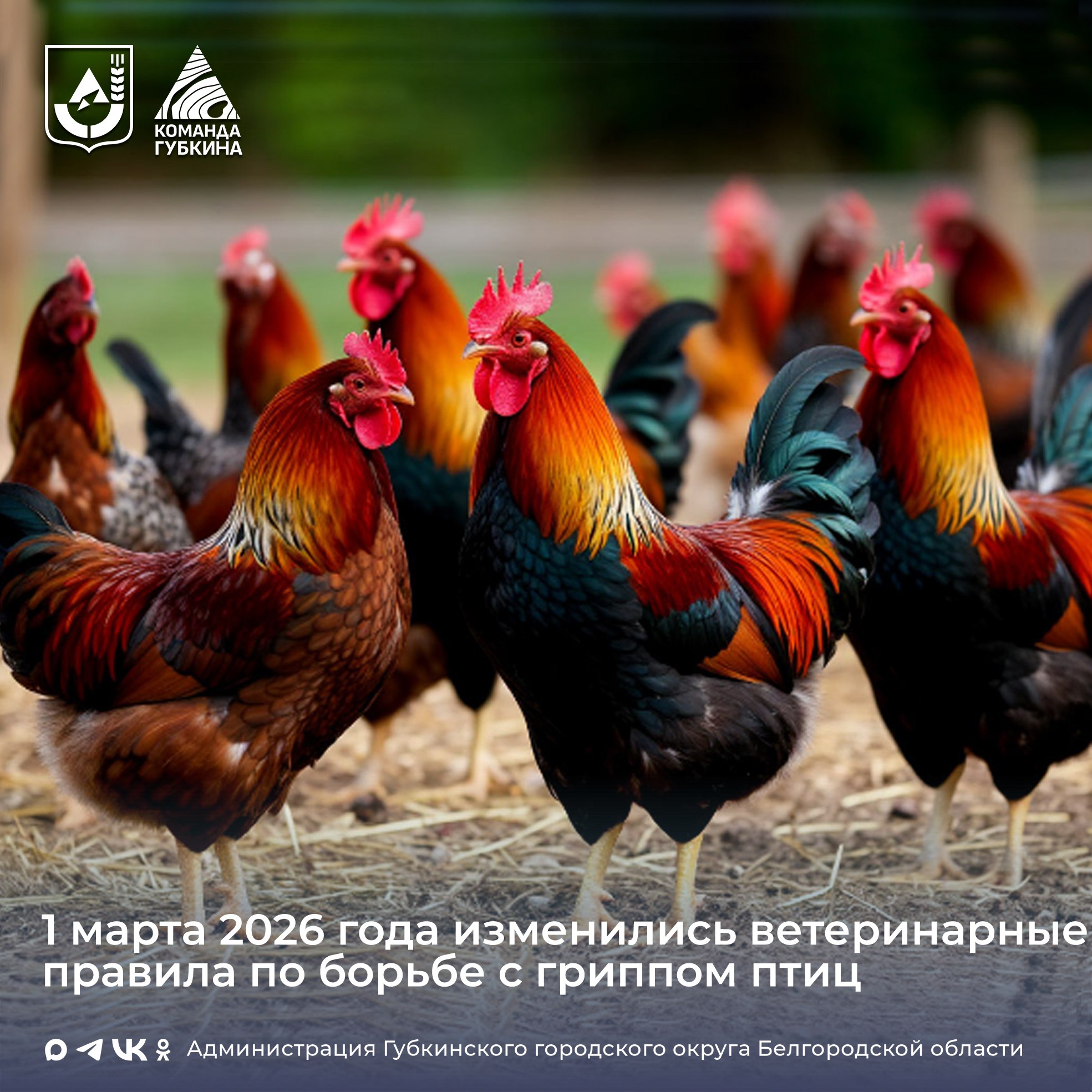 Управление сельского хозяйства информирует