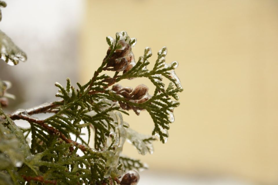 ������ 3 �����. ������� ��������� ������� ����� �� ������