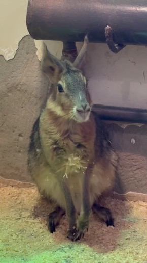 � ������������ �������� ���������� ����� ����� � ������������� ���� ��� ��� ����������� ���!