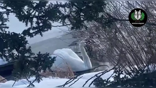 ������� � ��������� ���� ����� �������