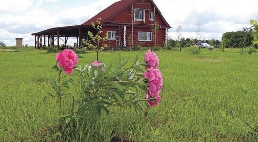 � ������������ ������� ��������� �� �������� ������� ��������