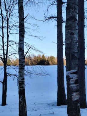 ������ ����, ������� ����������!