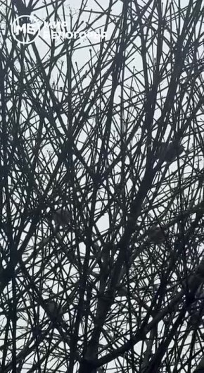 Погода 4 марта. Сегодня синоптики обещают облачную погоду