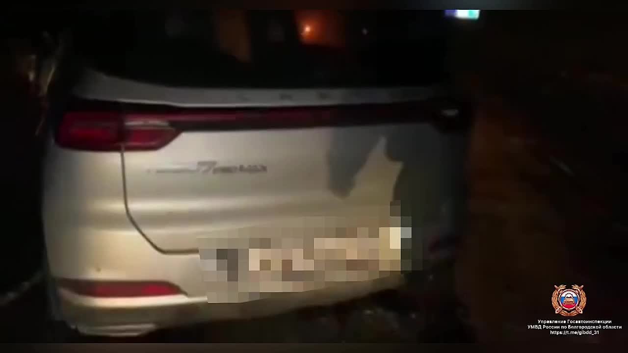 #СВОДКА_ДТП. По предварительным данным, вчера около 20 часов 30 минут на 667 км автодороги «М-2 «Крым» Белгородского округа 39-летний водитель, управляя автомобилем «ВАЗ-21099», допустил выезд на полосу, предназначенную для...