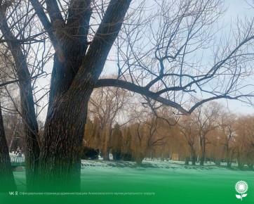 4 марта. Температура воздуха 0°C, малооблачно, без осадков