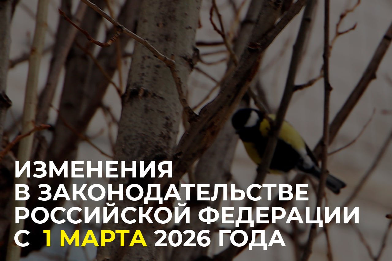 Уважаемые старооскольцы!. Делимся с вами актуальной информацией о нововведениях в законодательстве Российской Федерации, которые вступили в силу с 1 марта