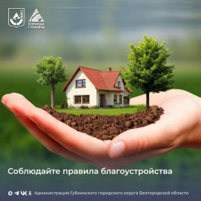 Чистота и порядок на улицах Губкинского городского округа достигается совместными усилиями коммунальных служб и жителей