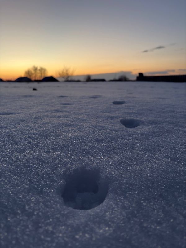 �� ����� ��� �������, �� �����, ��� ��������� ����� ������ ����