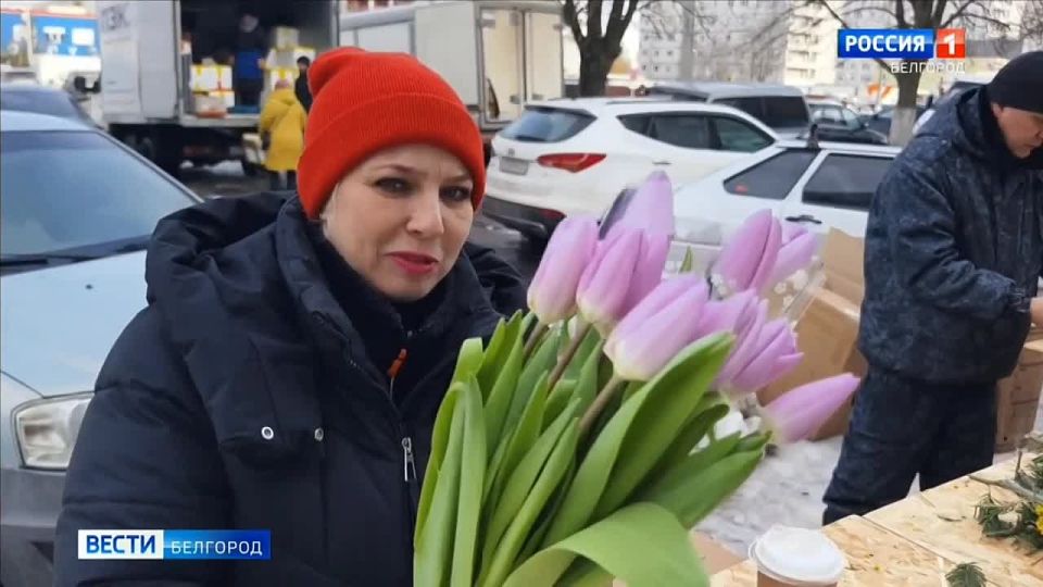 ������, �������� � ��������� ������ �� �������� ��������� � ������������