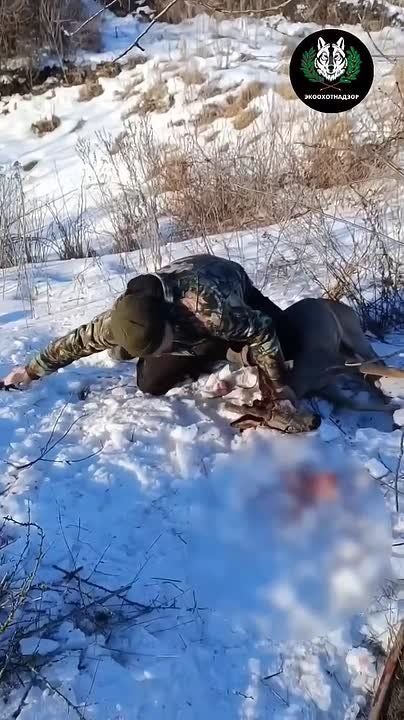 ������������� ������ ������� ���� ������ �� �����