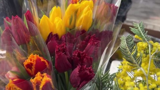 ���� ���������� �������� �� ��������� ������� � ���������