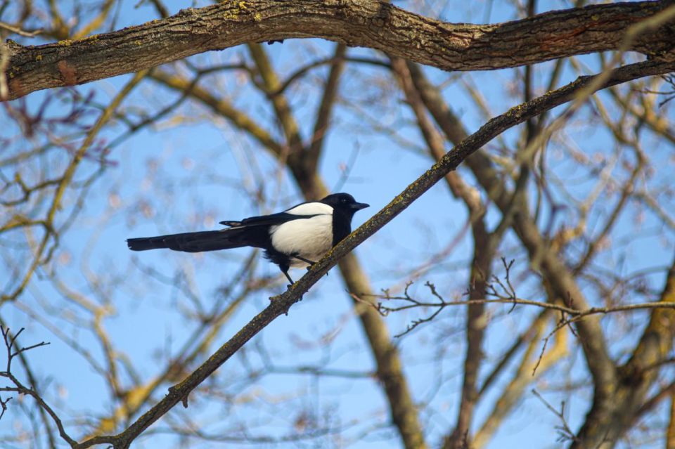 ������ 6 �����. ������� ��������� ������� �������� ������