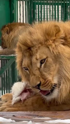 ���� ���� ������ ���� ������ ���������� �� ����! � ������������ �������� ���������� ����� �� �������� ��������� �������� ������