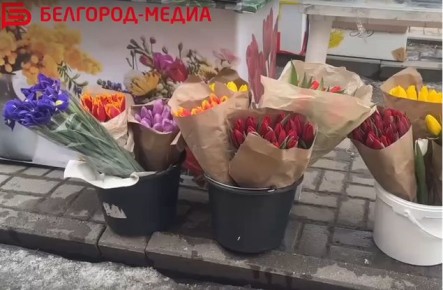 ������������� ���������-����� ����� ���������� ������� ������� ����������, ��� ������� ����� ����������