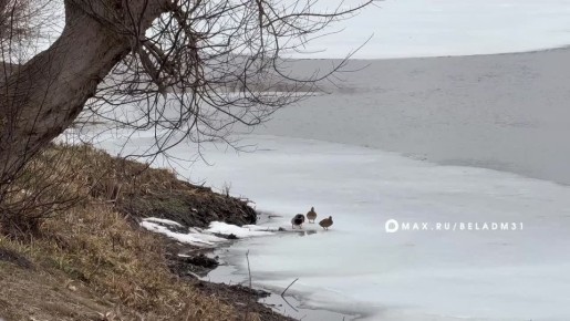 ������ ����, ��������!. �� ��������� 7 ����� � ������ ���� ������� �������� � ����� ������ ������� ��������� �����