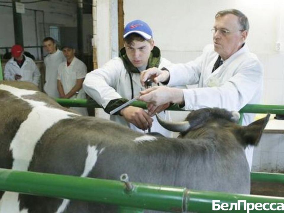 ������������ �������� ����������� ����� 21-� ����� ����� ����������� ����� ���