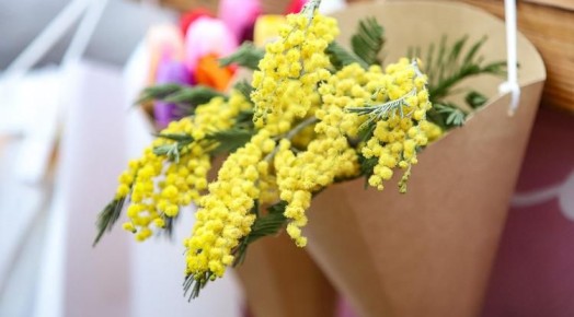 ������������ ��������� ��������� ��������� 3�000 ������