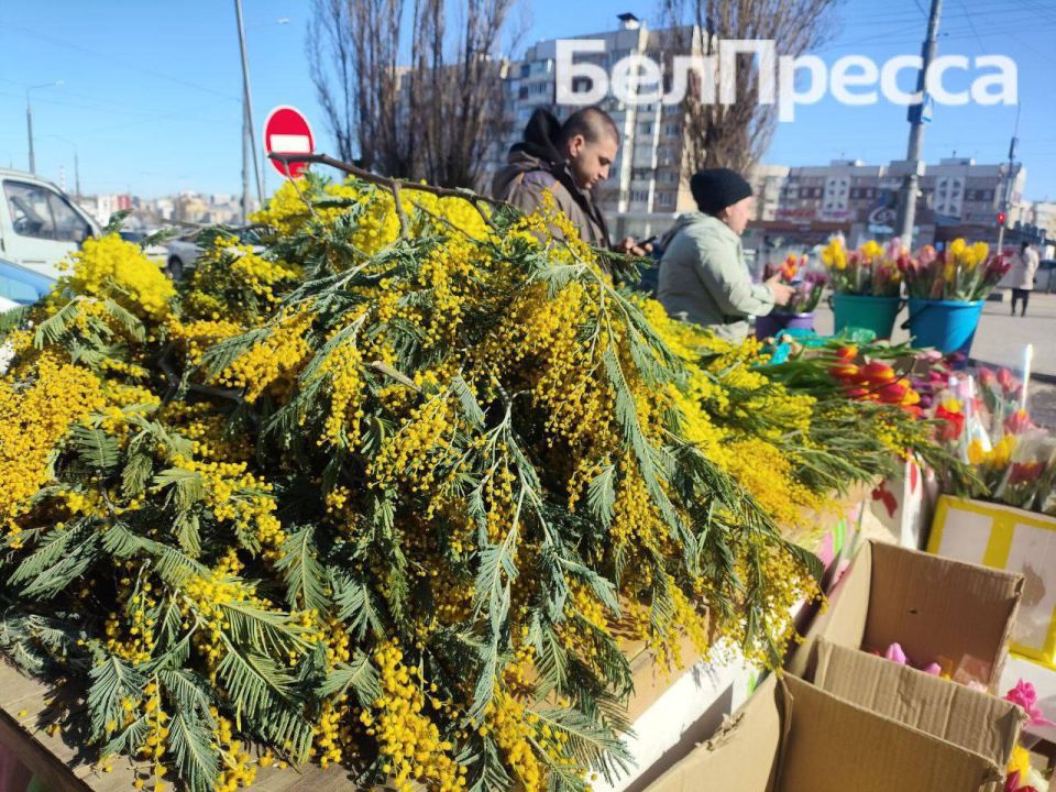 ����� � ��� ������ �������