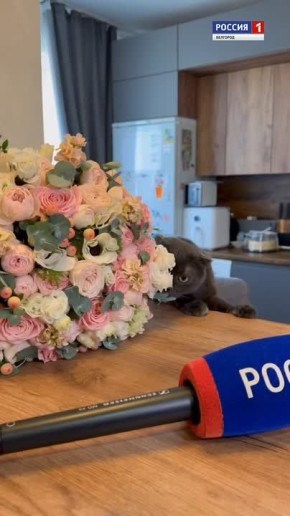 �������, 8 �����, ��� ��� �������� � ������������ ������