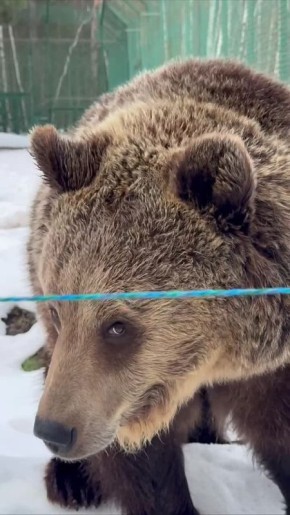 ��� ������, ��� ������ �����? ��������� �� ������������� �������� ����� �� ������ ������