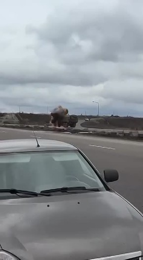 ��� ������: ��������� ������ �������� ���������� ������� FPV ������