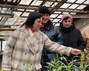 �������� �������: �������� ��������� ��������� ��� ����������������