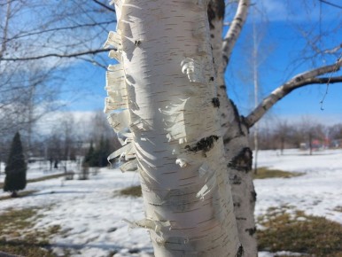 �������, 10 �����, ����� ���������� ����������