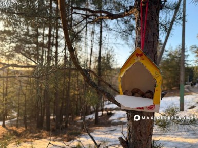 ������ �� 11 �����. ������� � ��������� ��������