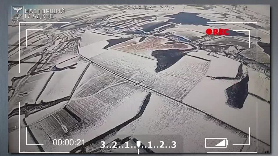 �������� �������: ���������� � ������� ���� ����� ��������� ���� �� ���������� ������������ ������� ��������������� �����-�������� � �������