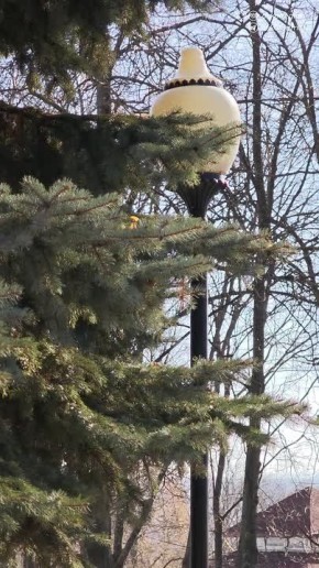 ������� ��������� ���, ������ �����!