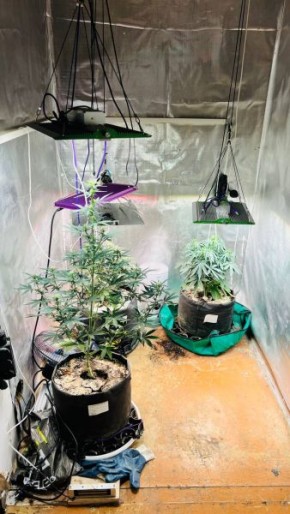 � ������ ������ ����������� �������� ������������ � ���� ����������