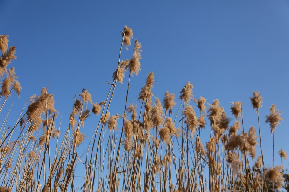 ������ 13 �����. ������� ��������� ������� ��������� ������